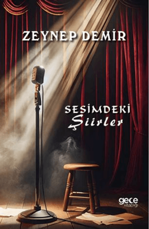Resim Sesimdeki Şiirler