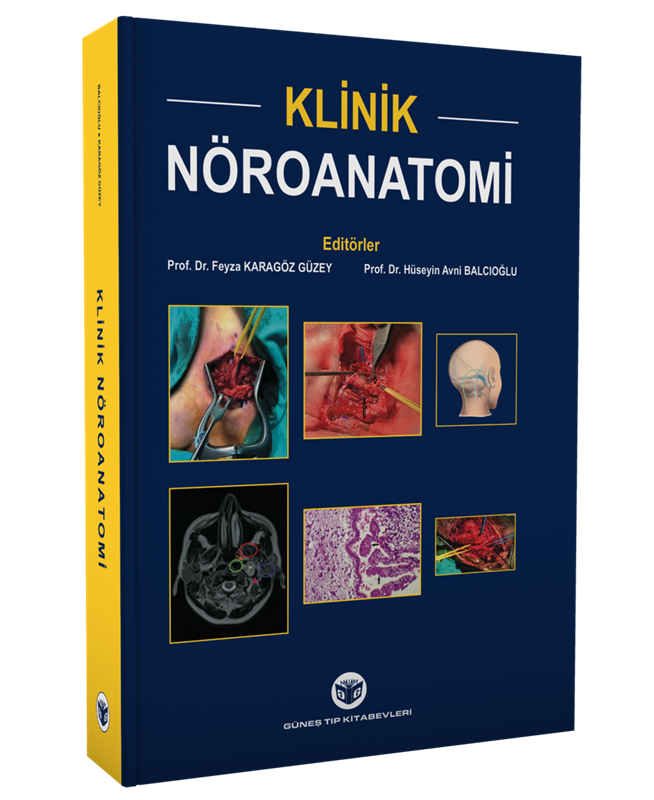 resm Klinik Nöroanatomi