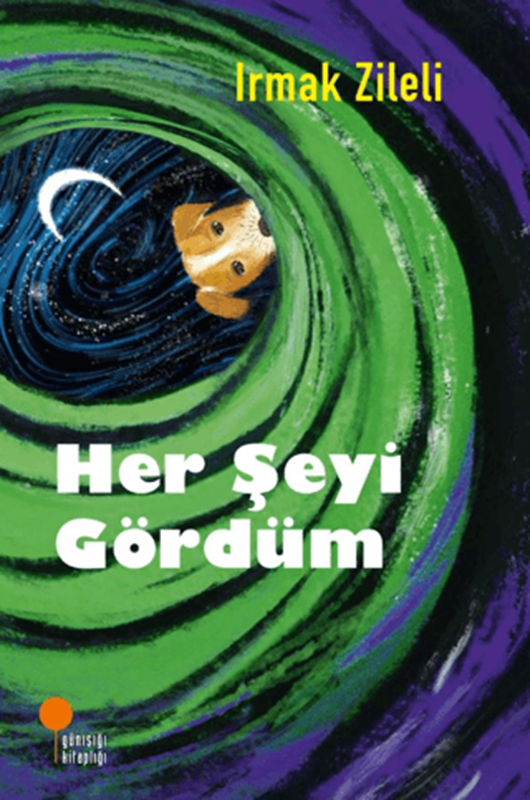 resm Her Şeyi Gördüm