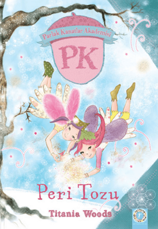 resm Parlak Kanatlar Akademisi Peri Tozu