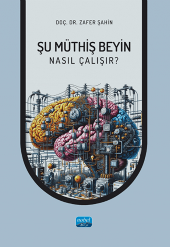 resm Şu Müthiş Beyin - Nasıl Çalışır?