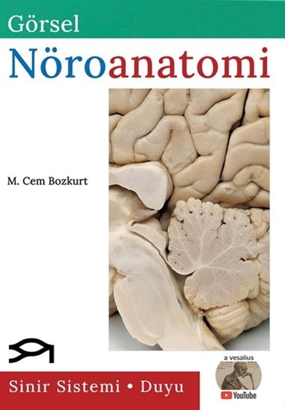 resm Görsel Nöroanatomi