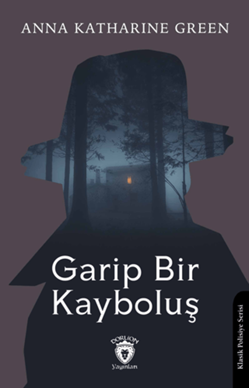 resm Garip Bir Kayboluş