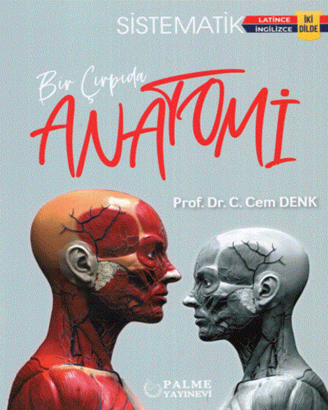 resm Bir Çırpıda Anatomi