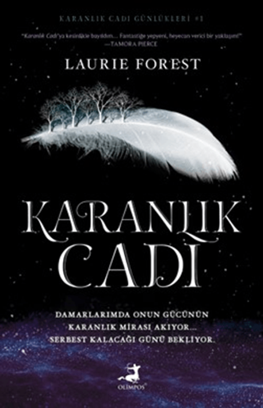 resm Karanlık Cadı