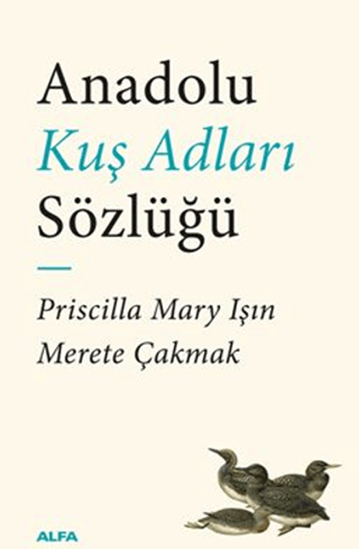 resm Anadolu Kuş Adları Sözlüğü