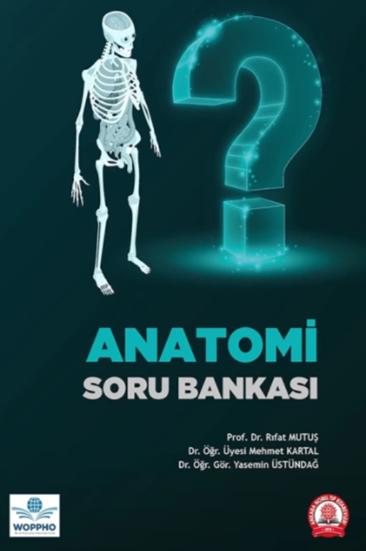 resm Anatomi Soru Bankası