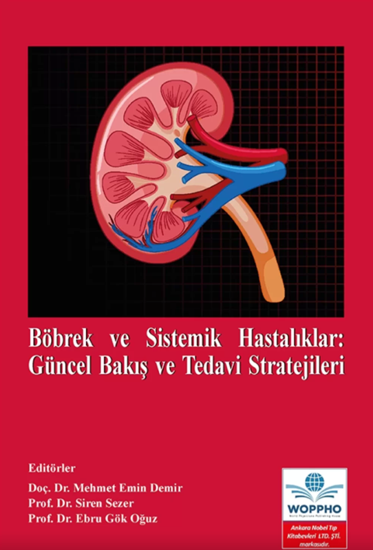 resm Böbrek ve Sistemik Hastalıklar: Güncel Bakış ve Tedavi Stratejileri