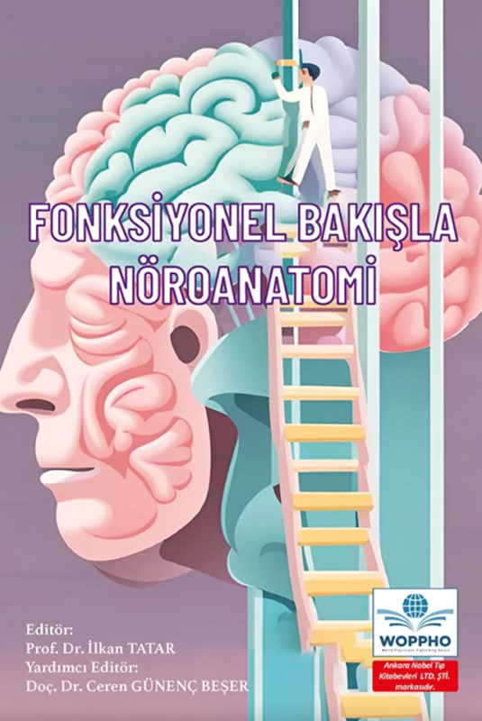 resm Fonksiyonel Bakışla Nöroanatomi