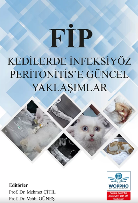 resm FİP Kedilerde İnfeksiyöz Peritonitis’e Güncel Yaklaşımlar