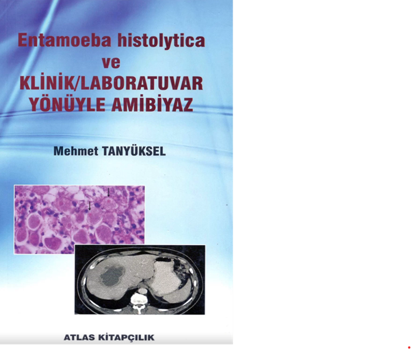 resm Entamoeba histolytica ve Klinik Laboratuvar Yönüyle Ambiyaz