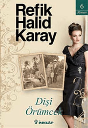 Resim Dişi Örümcek