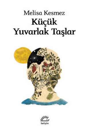 Resim Küçük Yuvarlak Taşlar