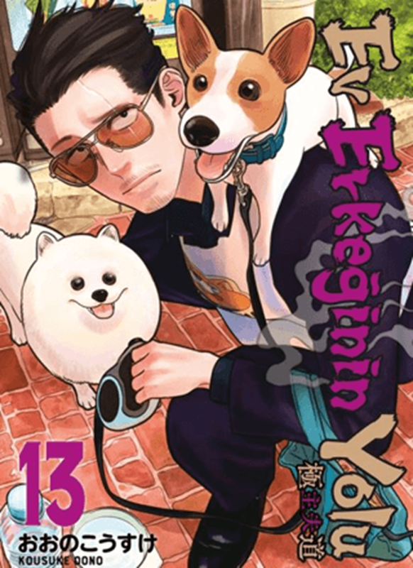 resm Ev Erkeğinin Yolu 13. Cilt