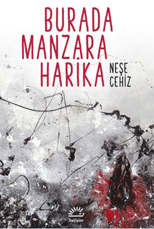 Resim Burada Manzara Harika