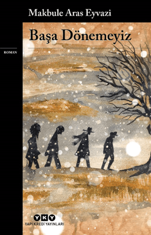 resm Başa Dönemeyiz