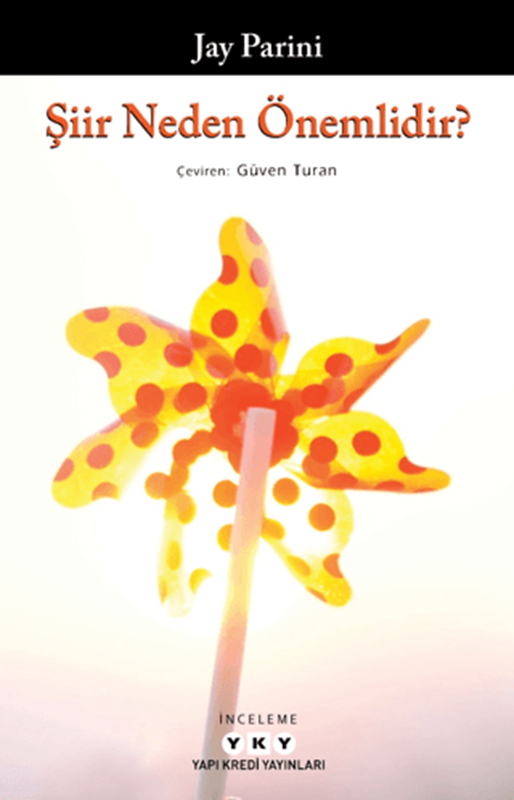 resm Şiir Neden Önemlidir?