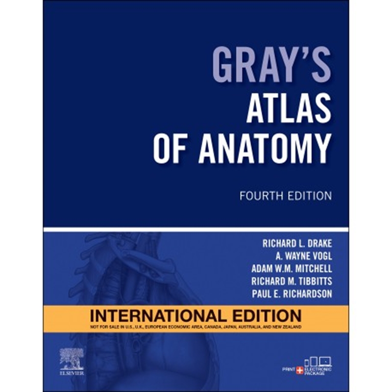 resm Gray's Atlas of Anatomy, 4th Edition