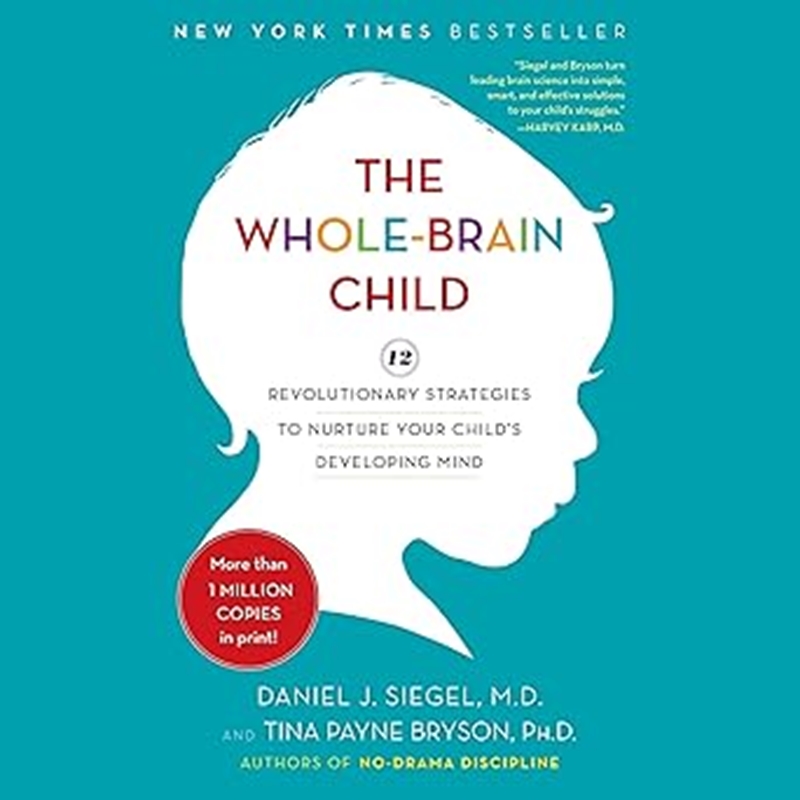 resm The Whole-Brain Child
