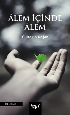 Resim Alem İçinde Alem