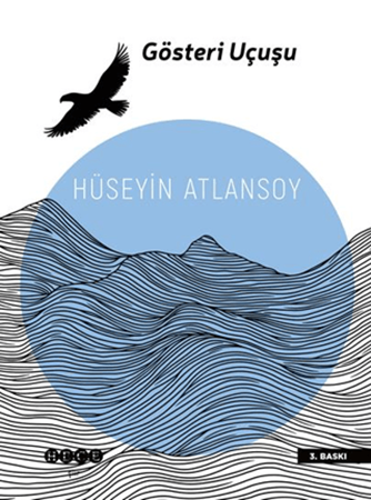 Resim Gösteri Uçuşu