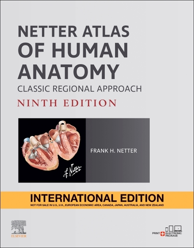 resm Netter Atlas of Human Anatomy: Classic Regional Approach 9e - International Edition