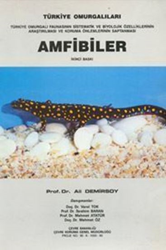 resm Amfibiler