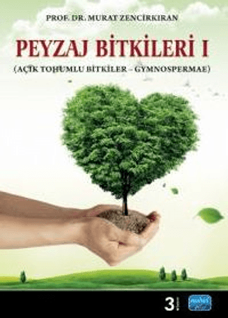 Resim Peyzaj Bitkileri 1