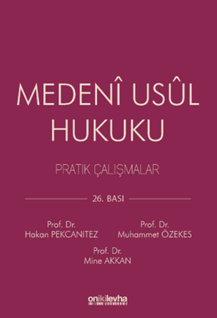 Resim Medeni Usul Hukuku Pratik Çalışmalar