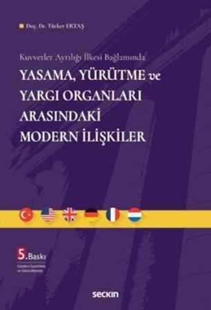 Resim Yasama, Yürütme ve Yargı Organları Arasındaki Modern İlişkiler