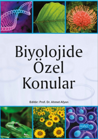 Resim Biyolojide Özel Konular