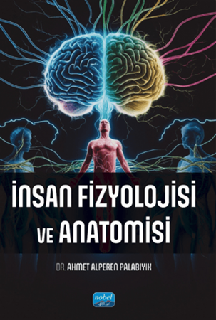 Resim İnsan Fizyolojisi ve Anatomisi