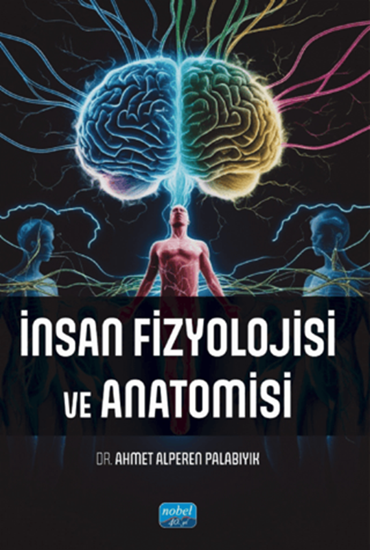 resm İnsan Fizyolojisi ve Anatomisi
