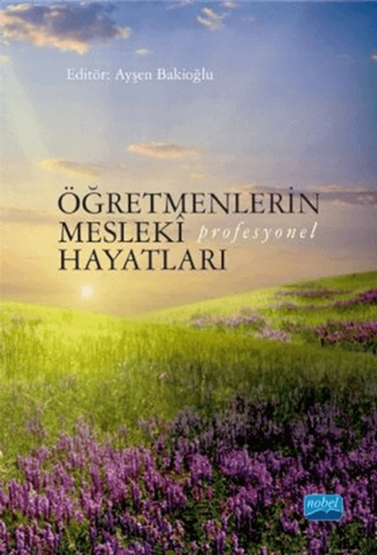 resm Öğretmenlerin Mesleki (Profesyonel) Hayatları