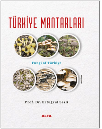 Resim Türkiye Mantarları