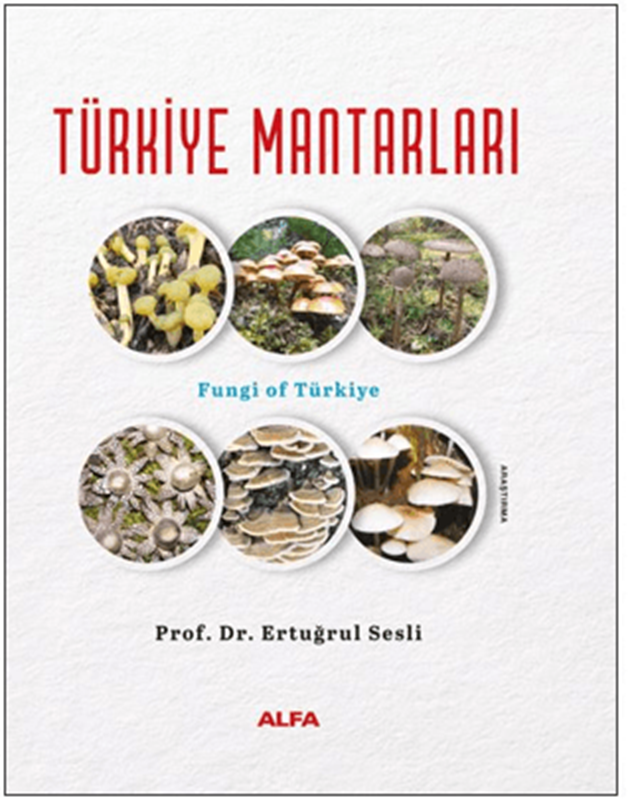resm Türkiye Mantarları
