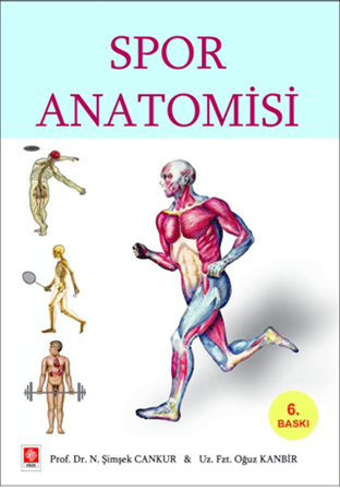 Resim Spor Anatomisi