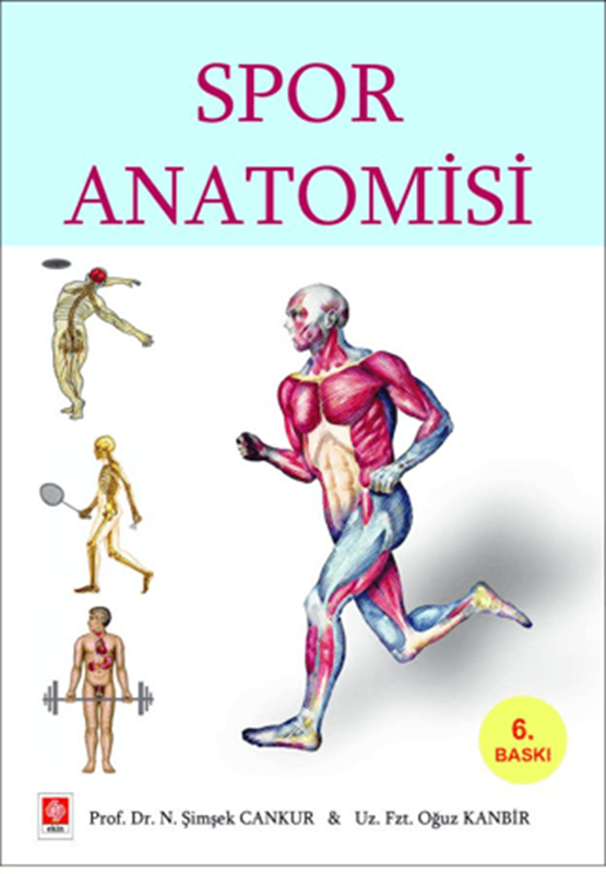 resm Spor Anatomisi