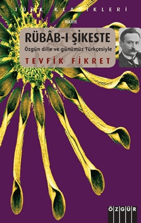 Resim Rübab-ı Şikeste