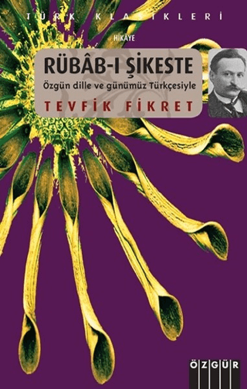 resm Rübab-ı Şikeste