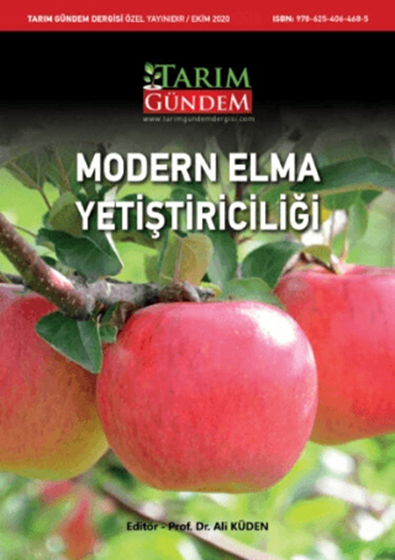 resm Modern Elma Yetiştiriciliği