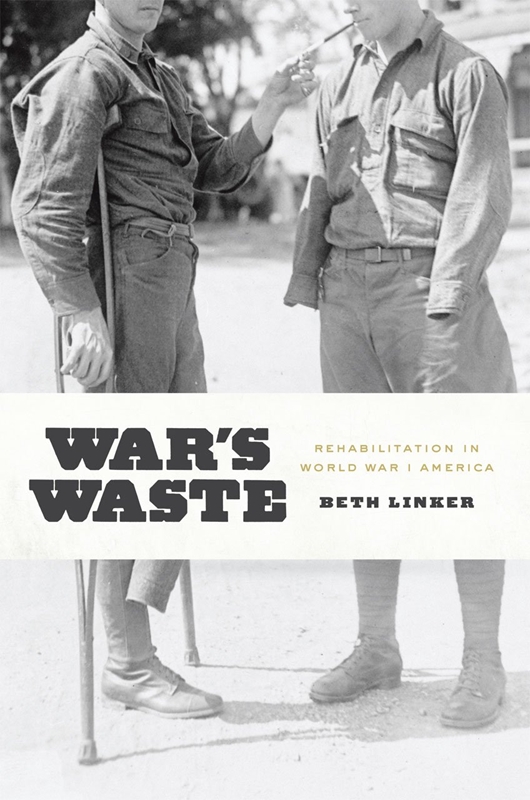 resm War S Waste Rehabılıtatıon In World War I Amerıca