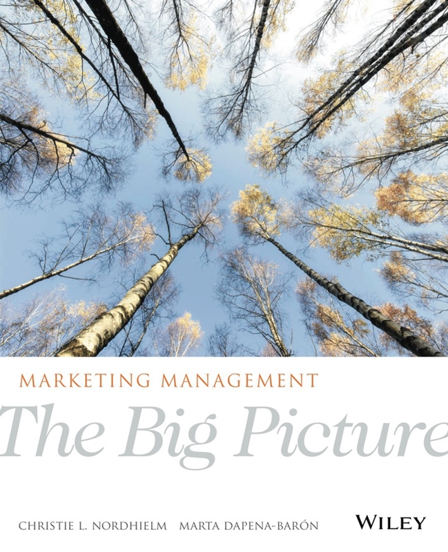 resm E-Book For Marketıng Management: The Bıg Pıcture