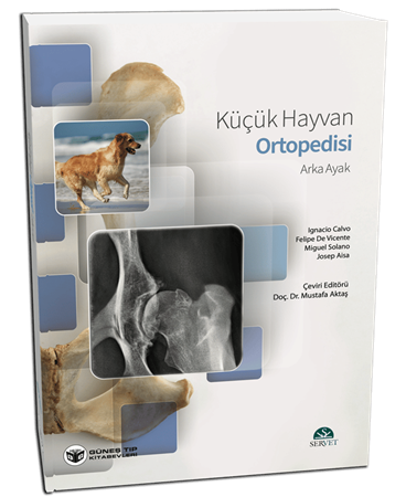 Resim Küçük Hayvan Ortopedisi Arka Ayak