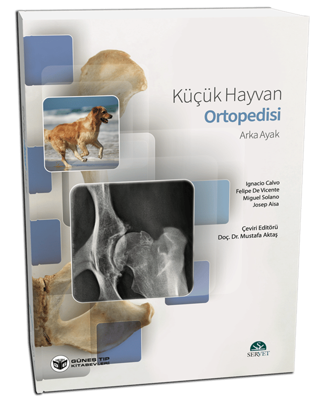 resm Küçük Hayvan Ortopedisi Arka Ayak