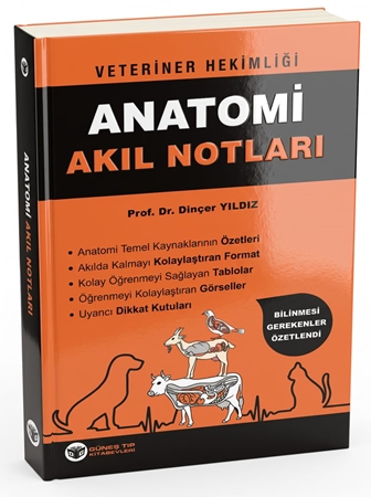Resim Veteriner Hekimliği Anatomi Akıl Notları